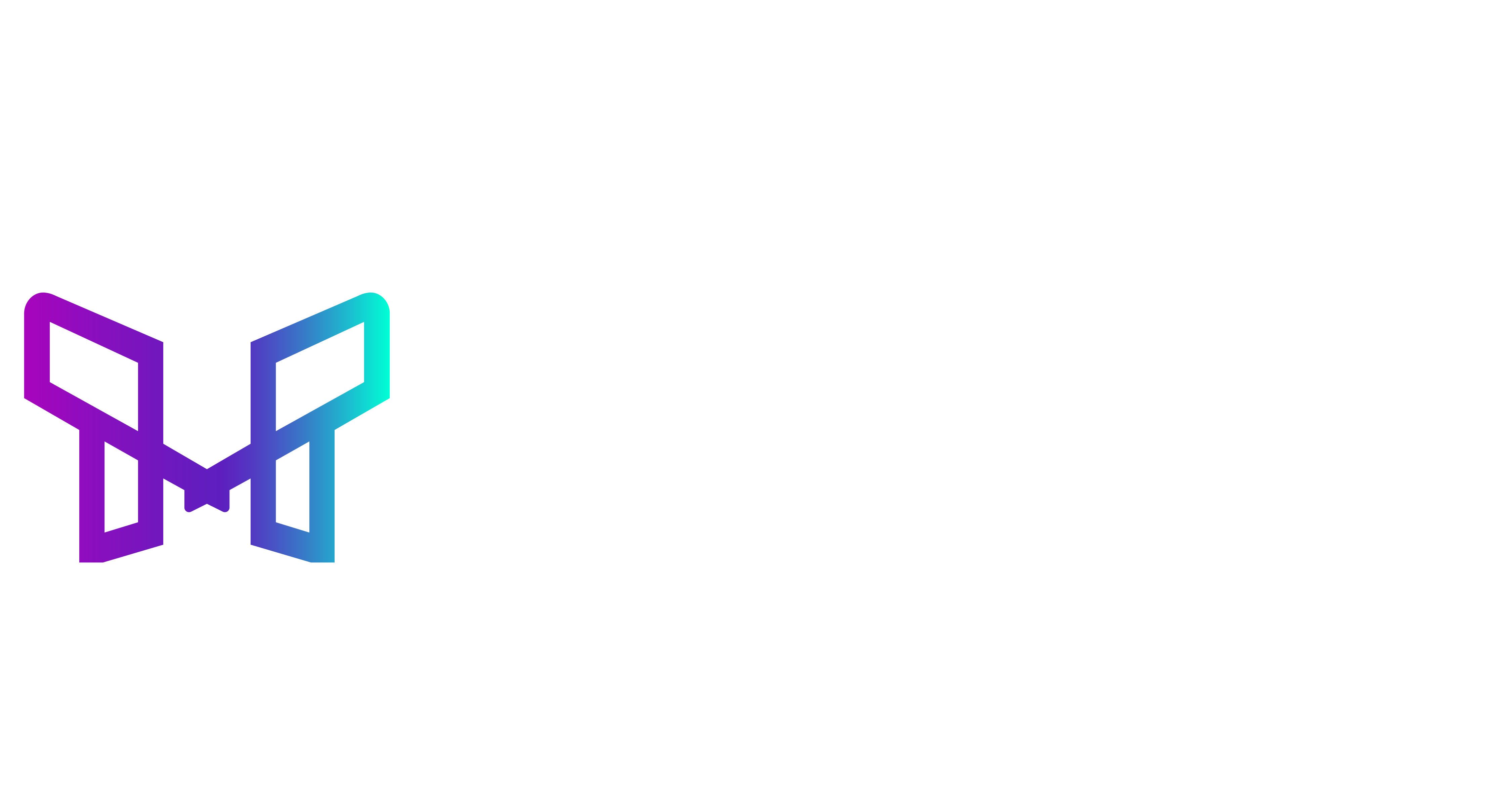 Meta Performance Logo